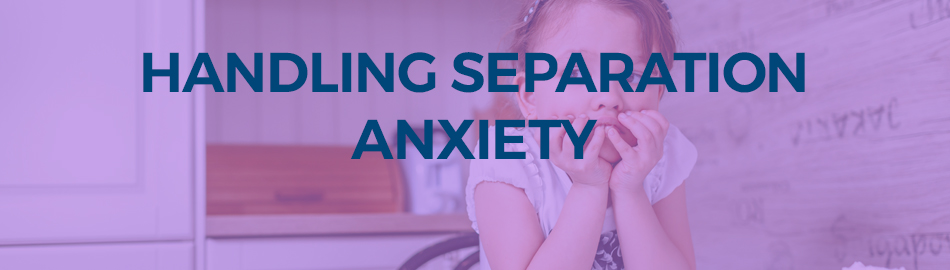 Handling separation anxiety with foster training support and development banner image for blog
